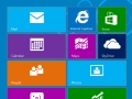 Windows 8